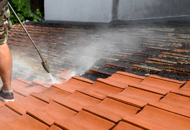 Why Choose Our Certified Pressure Washing Experts for Your Project Needs in Pelion, SC?