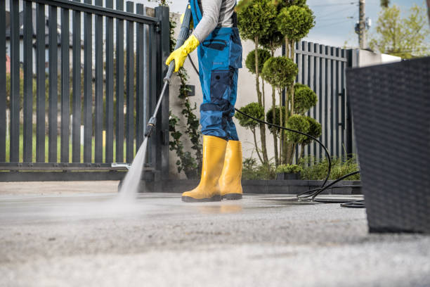 Best Pressure Washing Driveway  in Pelion, SC