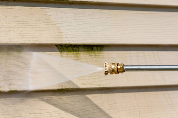 Professional Pressure Washing in Pelion, SC